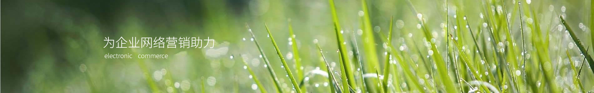 ¶ݸ޹˾